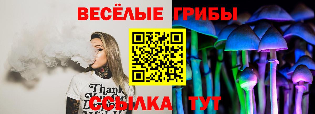 Галлюциногенные грибы мухоморы  Псилоцибиновые грибы Psilocybe  Благодарный  Вход с VPN 